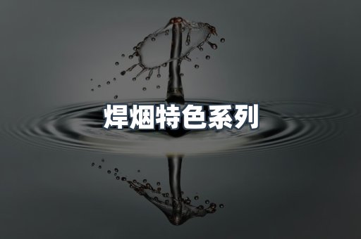焊烟特色系列