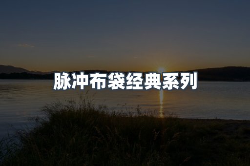 脉冲布袋经典系列