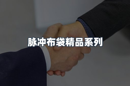 脉冲布袋精品系列